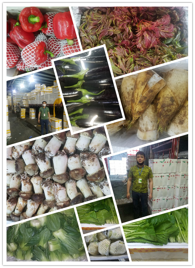 首页-PA真人集团有限公司官网