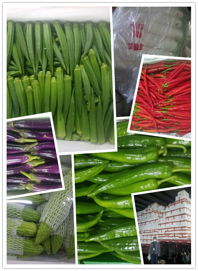 首页-PA真人集团有限公司官网