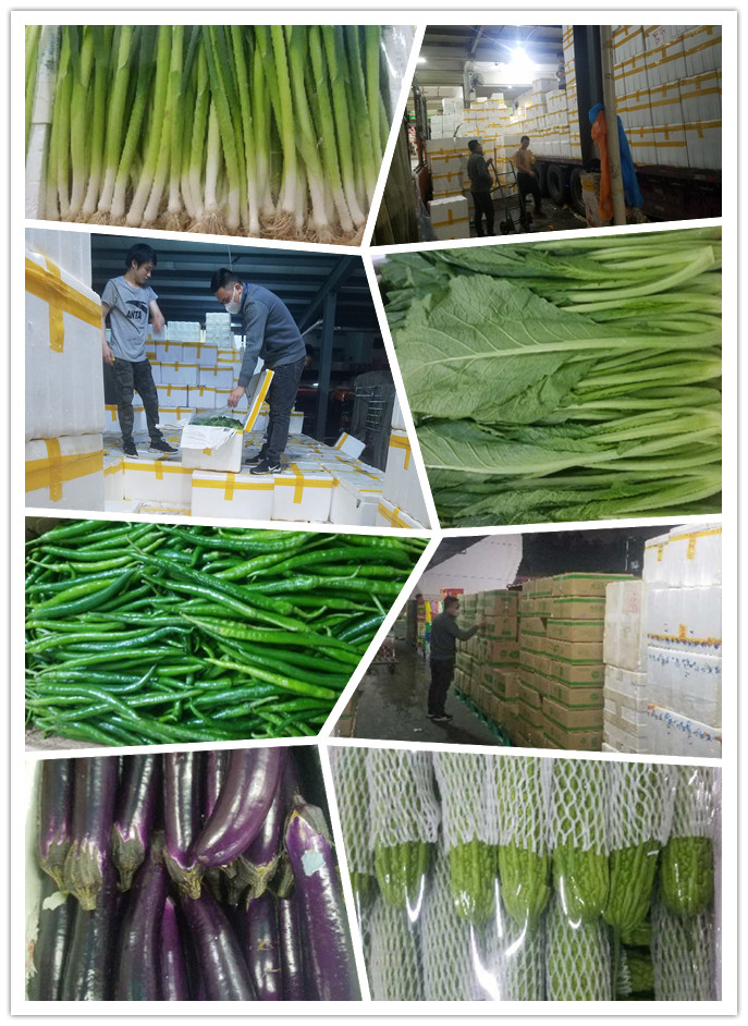 首页-PA真人集团有限公司官网