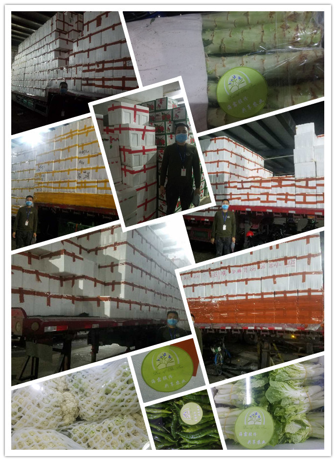 首页-PA真人集团有限公司官网