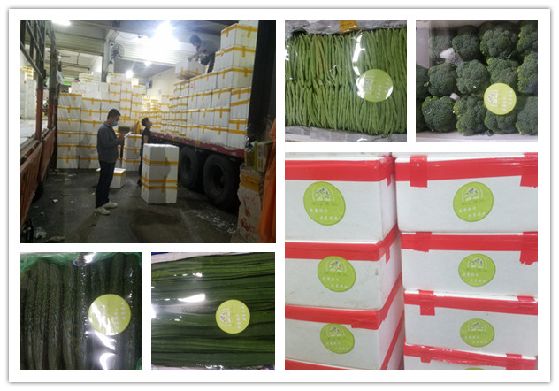 首页-PA真人集团有限公司官网