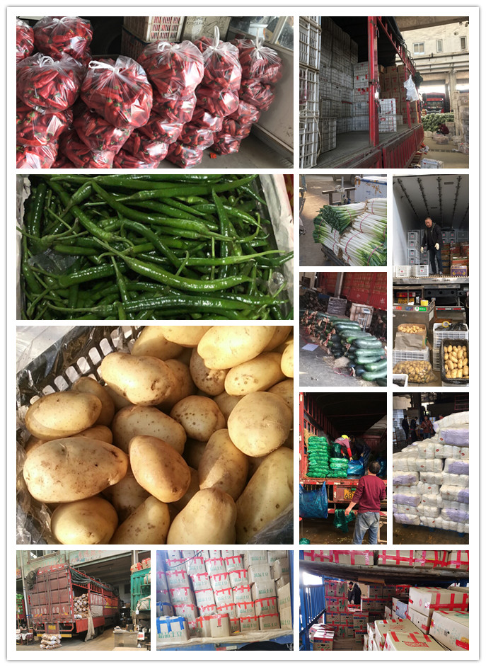 首页-PA真人集团有限公司官网