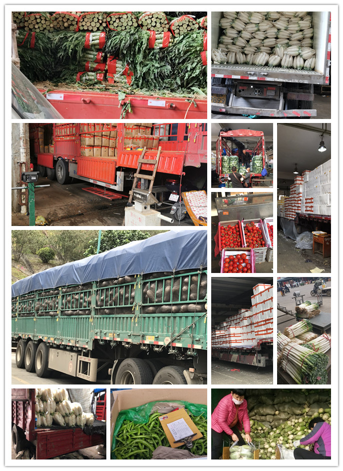 首页-PA真人集团有限公司官网