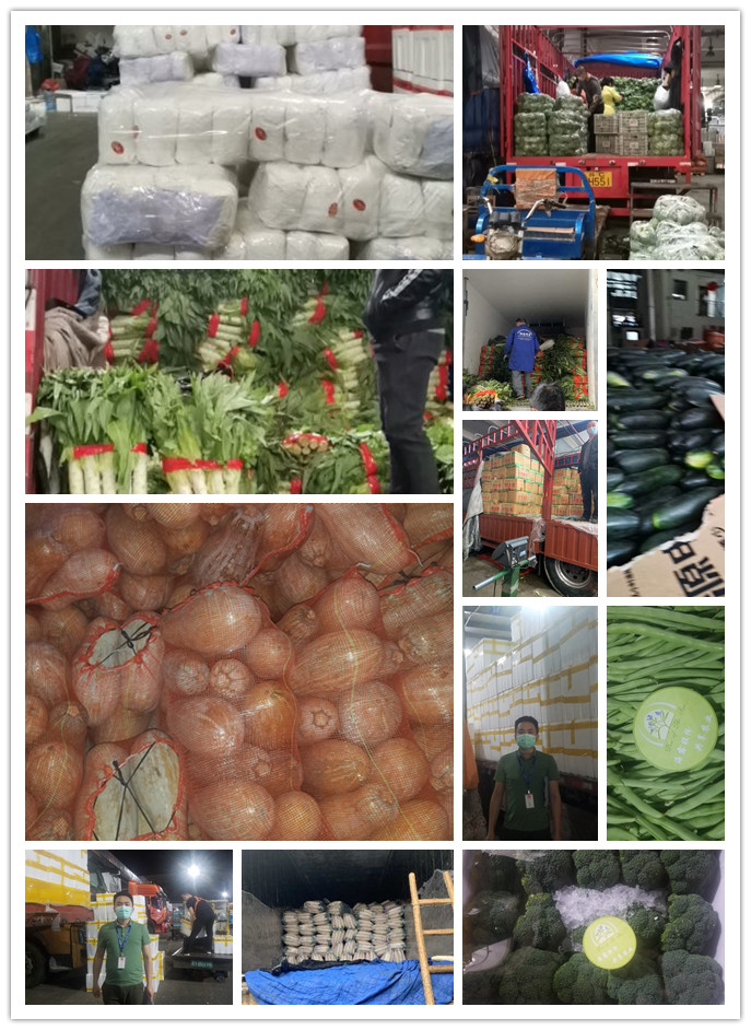 首页-PA真人集团有限公司官网