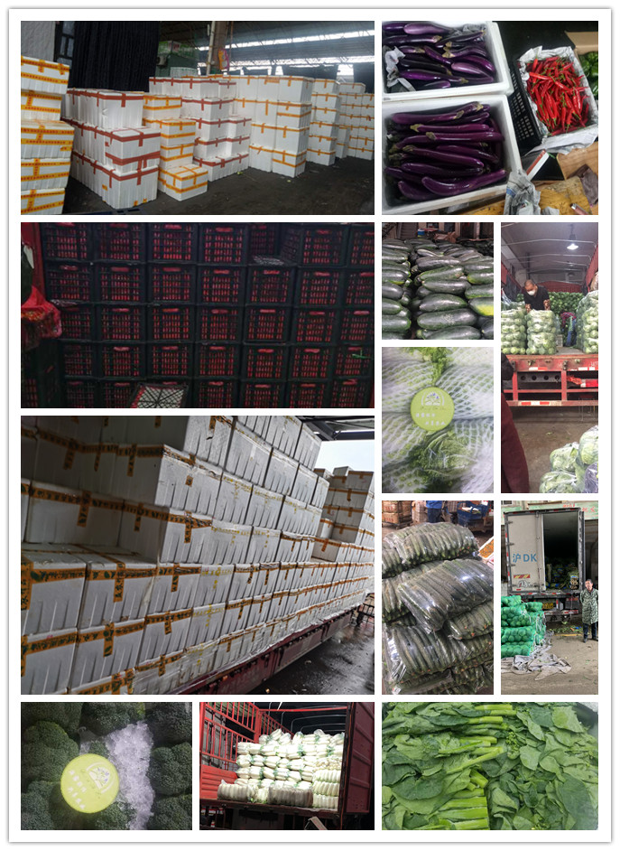 首页-PA真人集团有限公司官网