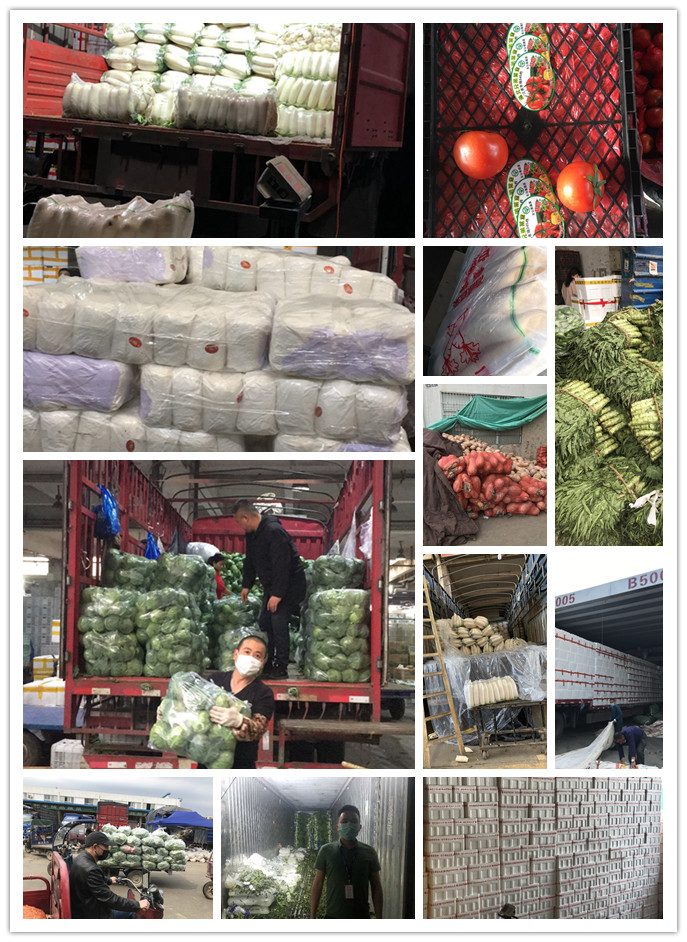 首页-PA真人集团有限公司官网