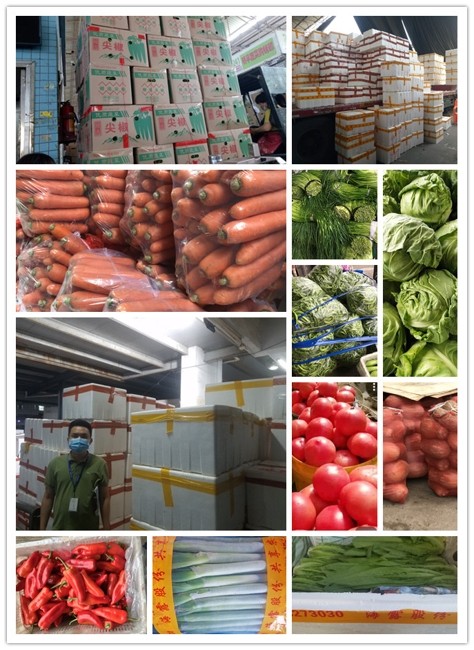 首页-PA真人集团有限公司官网