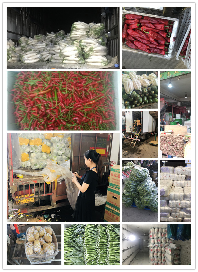 首页-PA真人集团有限公司官网