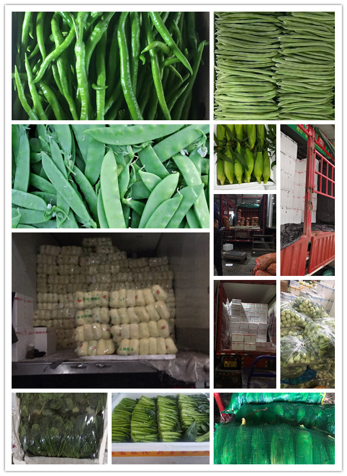 首页-PA真人集团有限公司官网