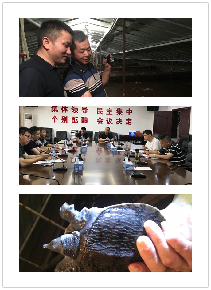 首页-PA真人集团有限公司官网