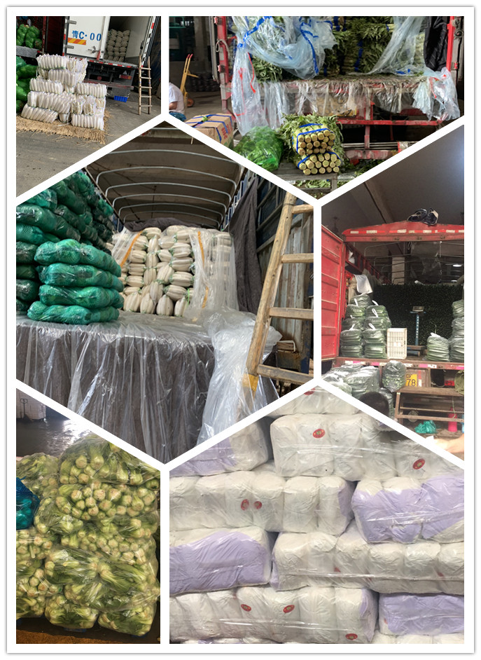 首页-PA真人集团有限公司官网