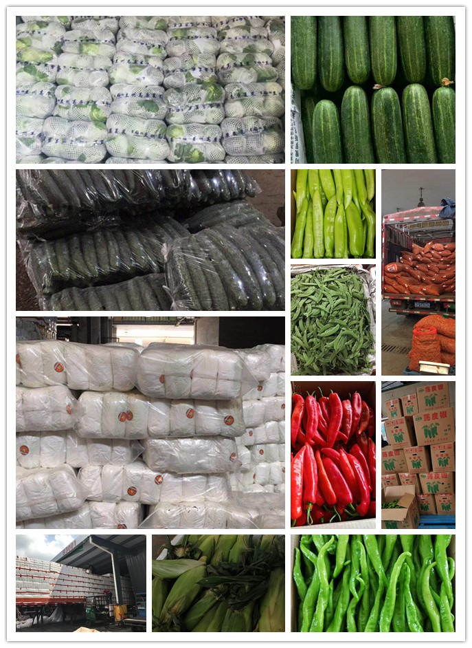 首页-PA真人集团有限公司官网