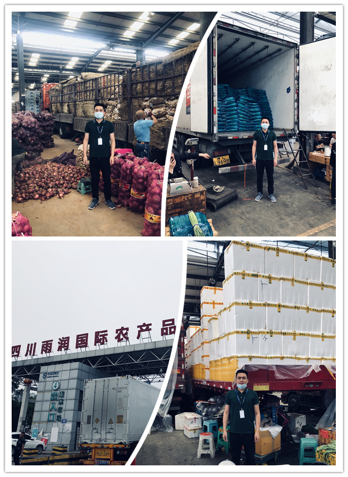 首页-PA真人集团有限公司官网