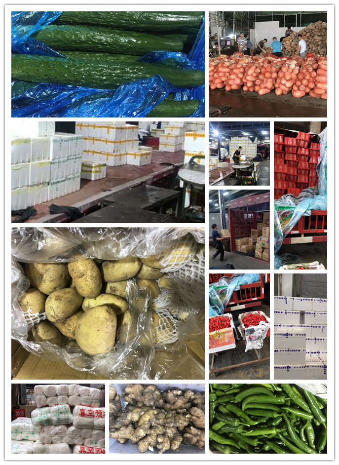 首页-PA真人集团有限公司官网