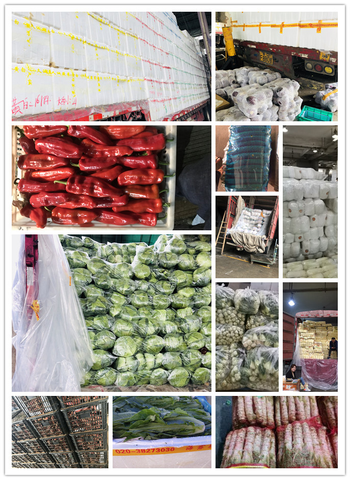 首页-PA真人集团有限公司官网