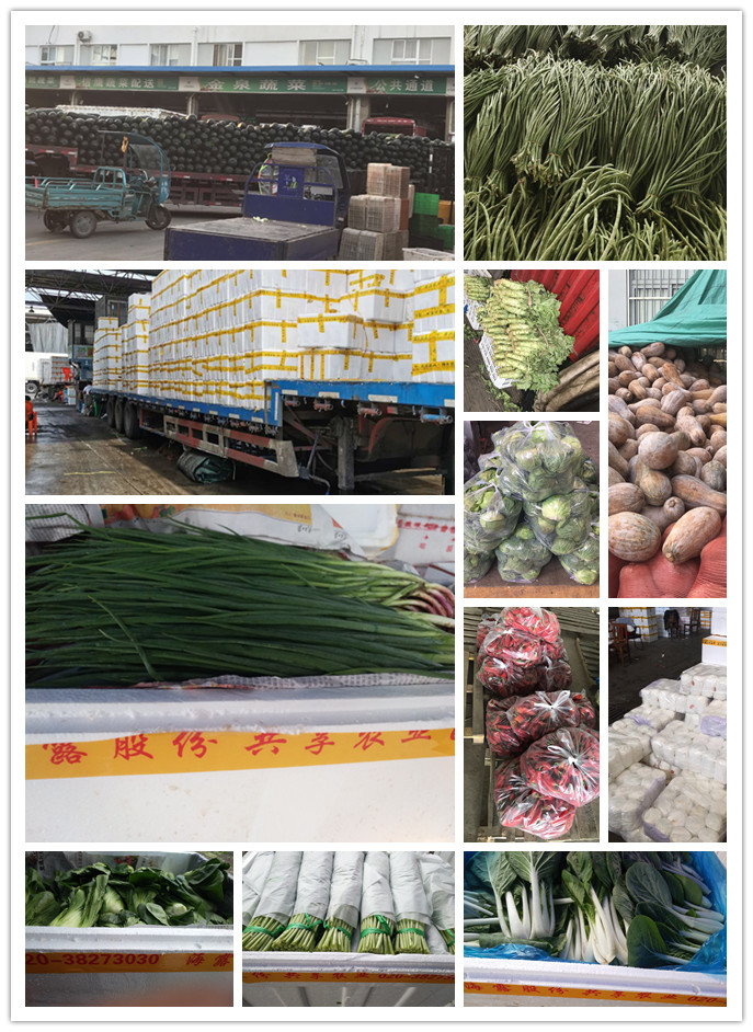 首页-PA真人集团有限公司官网