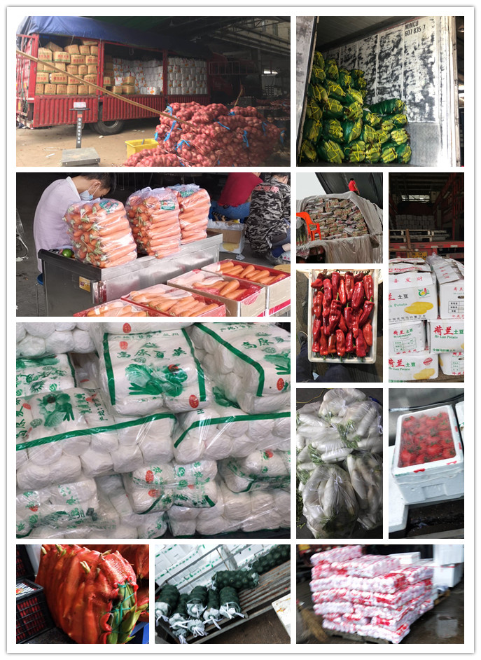 首页-PA真人集团有限公司官网