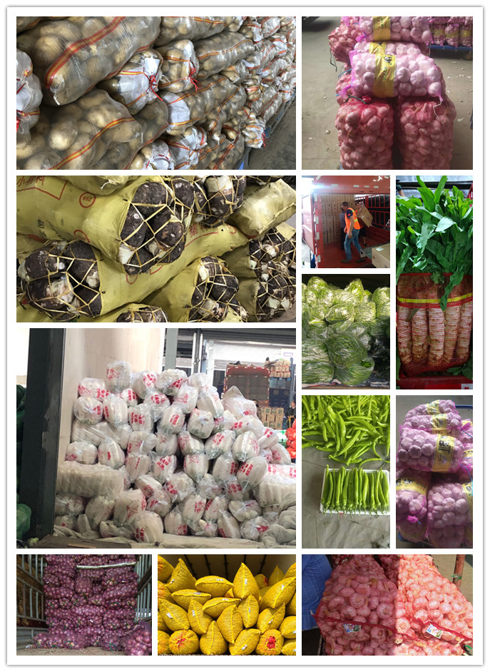 首页-PA真人集团有限公司官网