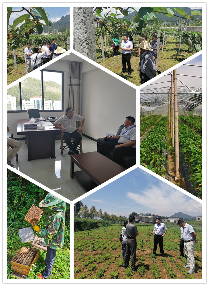 首页-PA真人集团有限公司官网