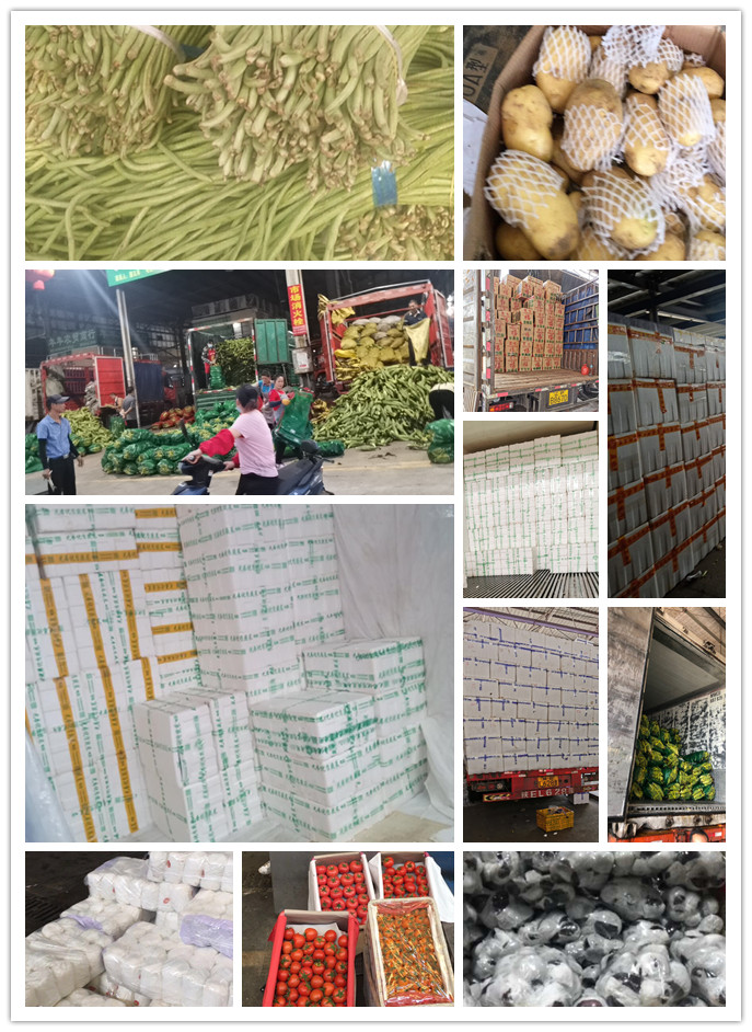 首页-PA真人集团有限公司官网