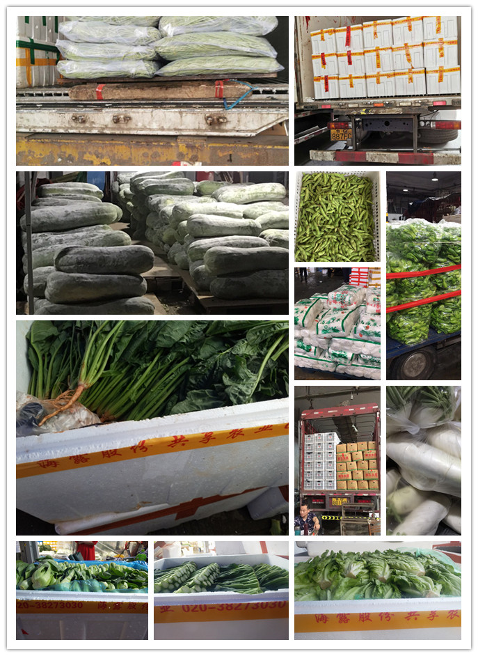 首页-PA真人集团有限公司官网