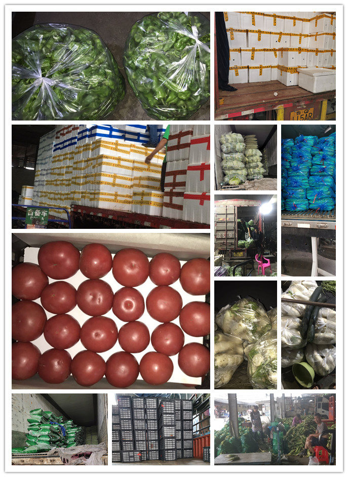 首页-PA真人集团有限公司官网