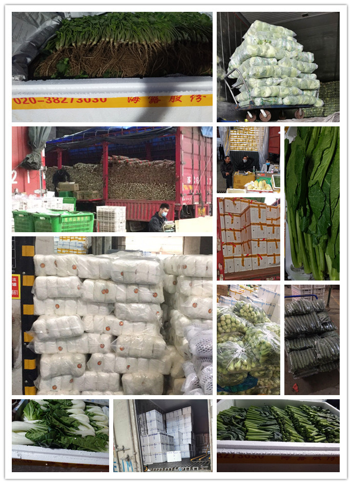 首页-PA真人集团有限公司官网