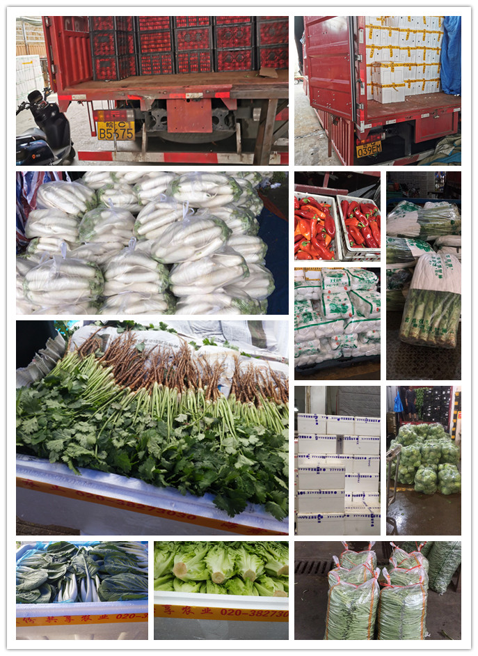 首页-PA真人集团有限公司官网