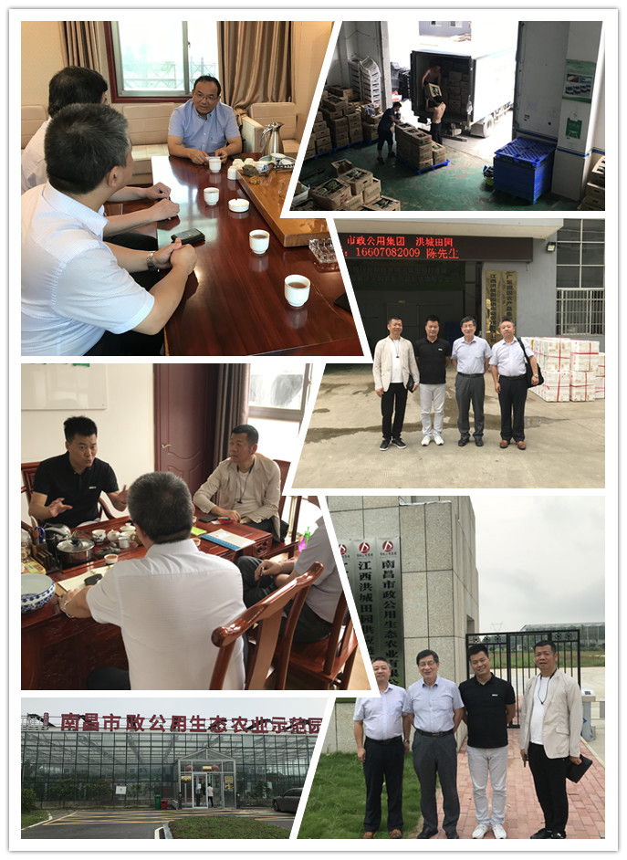 首页-PA真人集团有限公司官网