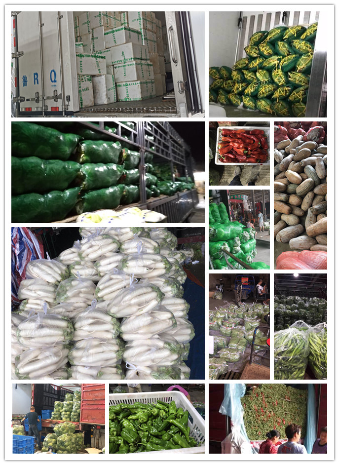 首页-PA真人集团有限公司官网