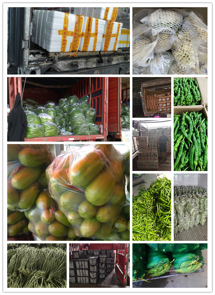 首页-PA真人集团有限公司官网