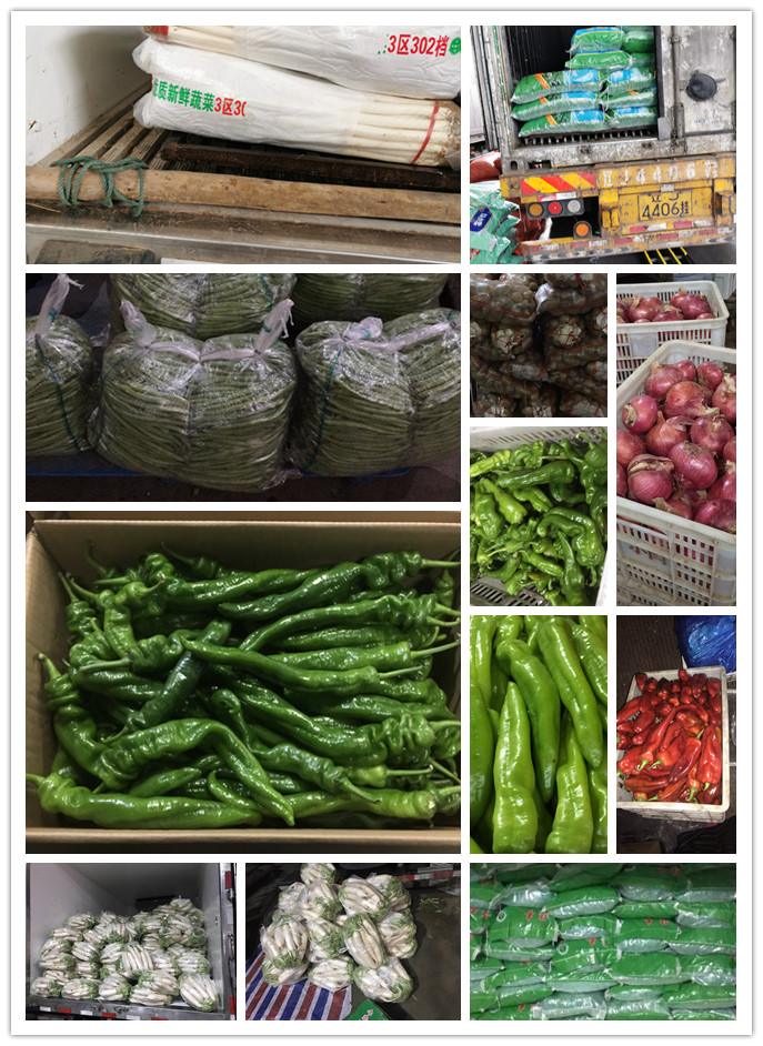 首页-PA真人集团有限公司官网