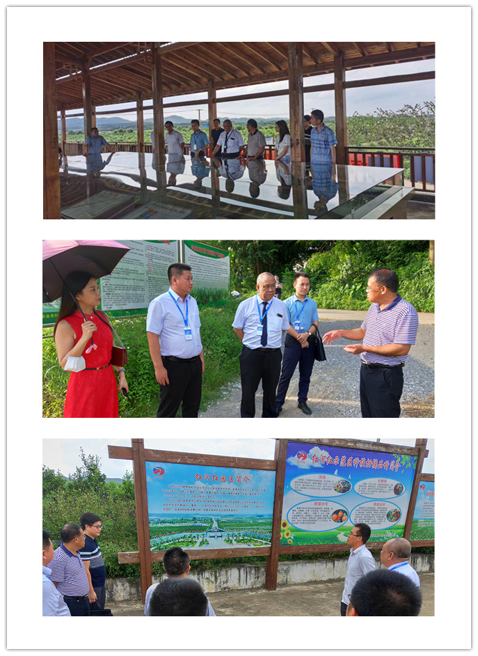 首页-PA真人集团有限公司官网