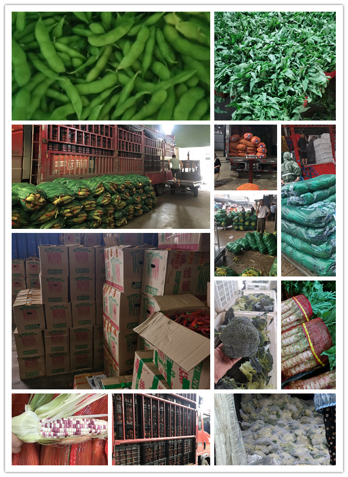 首页-PA真人集团有限公司官网