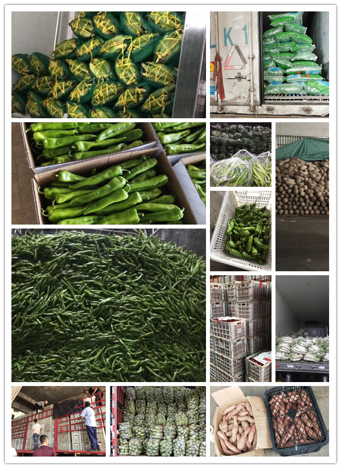 首页-PA真人集团有限公司官网