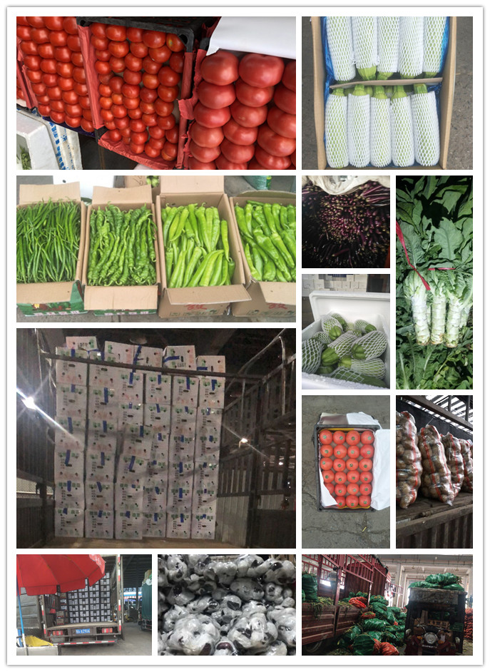 首页-PA真人集团有限公司官网