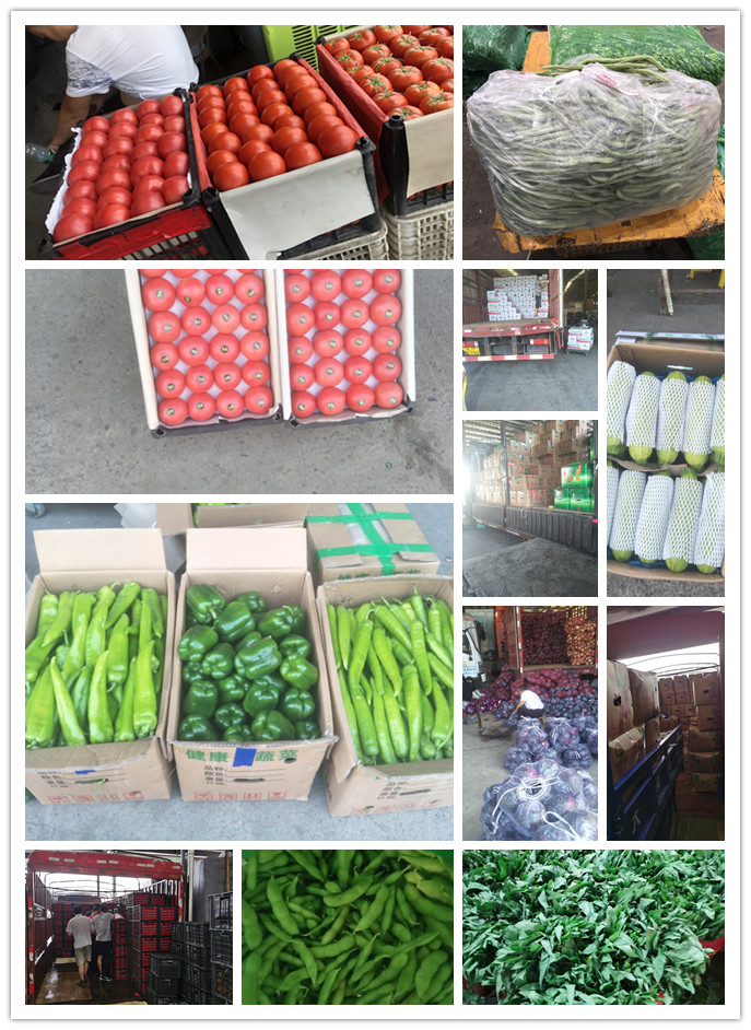 首页-PA真人集团有限公司官网