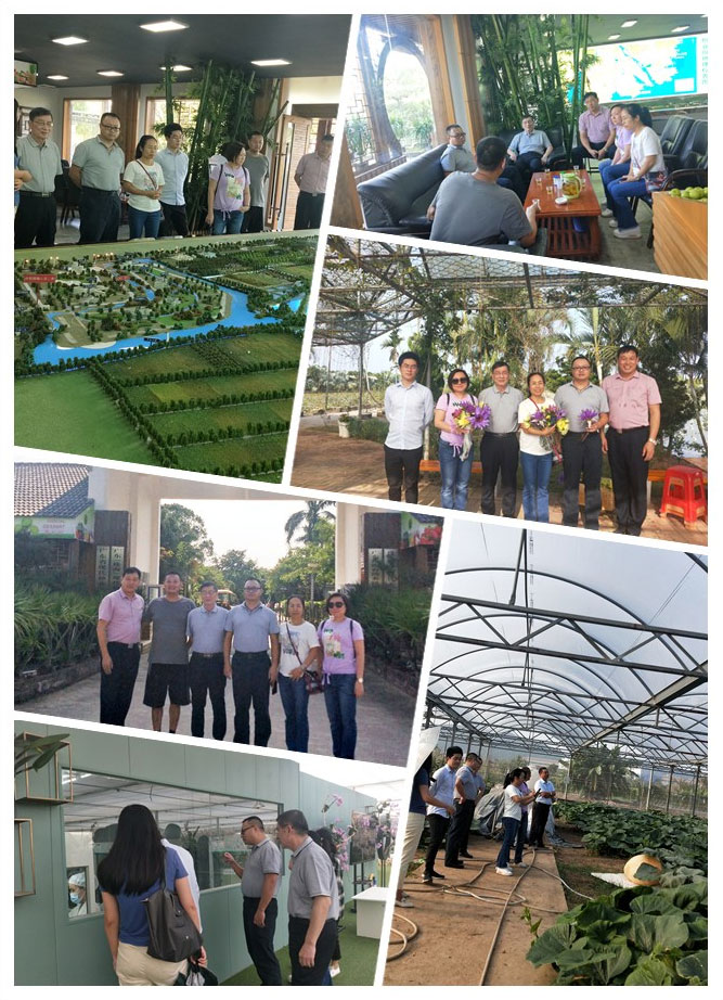 首页-PA真人集团有限公司官网