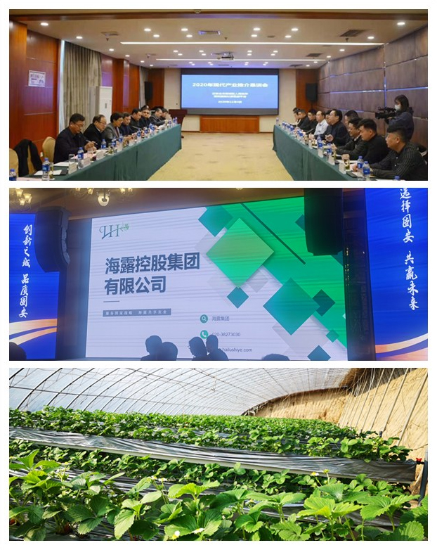 首页-PA真人集团有限公司官网