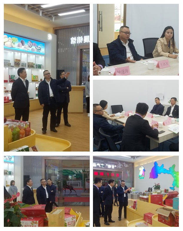 首页-PA真人集团有限公司官网