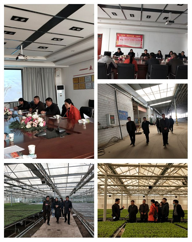 首页-PA真人集团有限公司官网