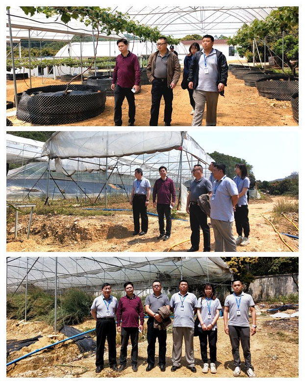 首页-PA真人集团有限公司官网