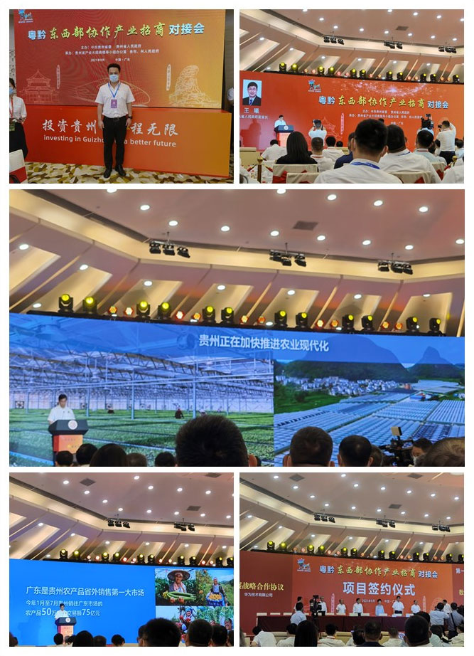 首页-PA真人集团有限公司官网