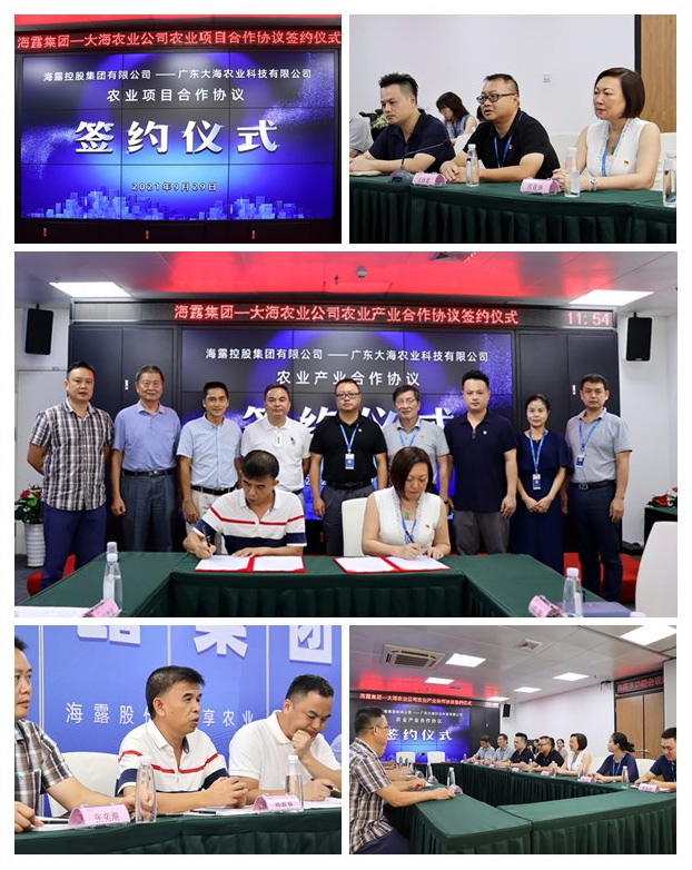 首页-PA真人集团有限公司官网