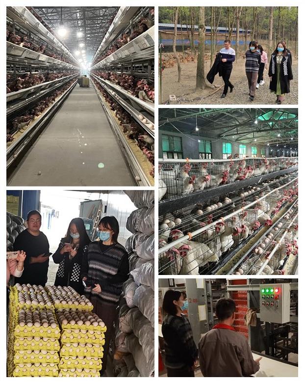 首页-PA真人集团有限公司官网