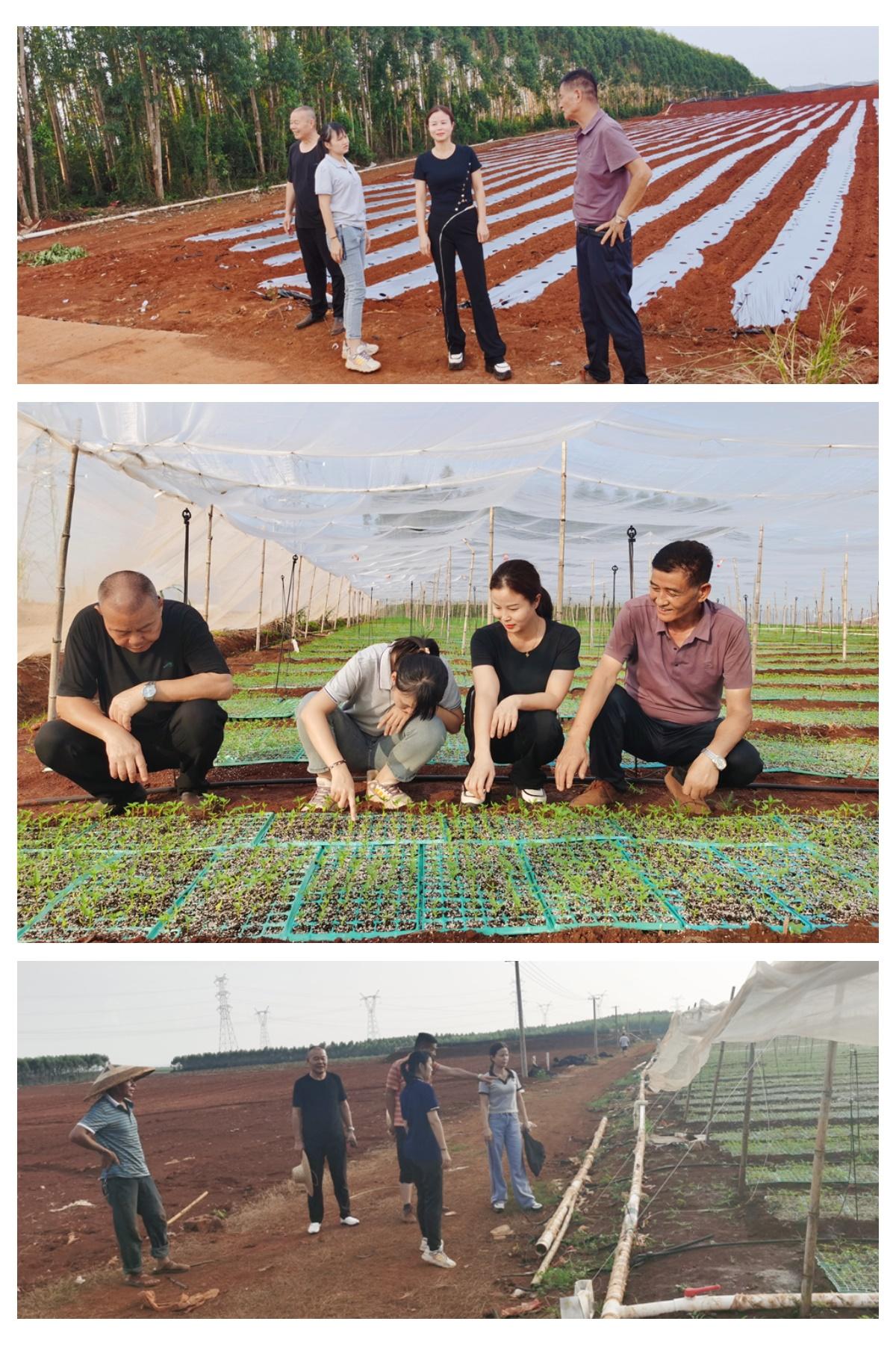 首页-PA真人集团有限公司官网