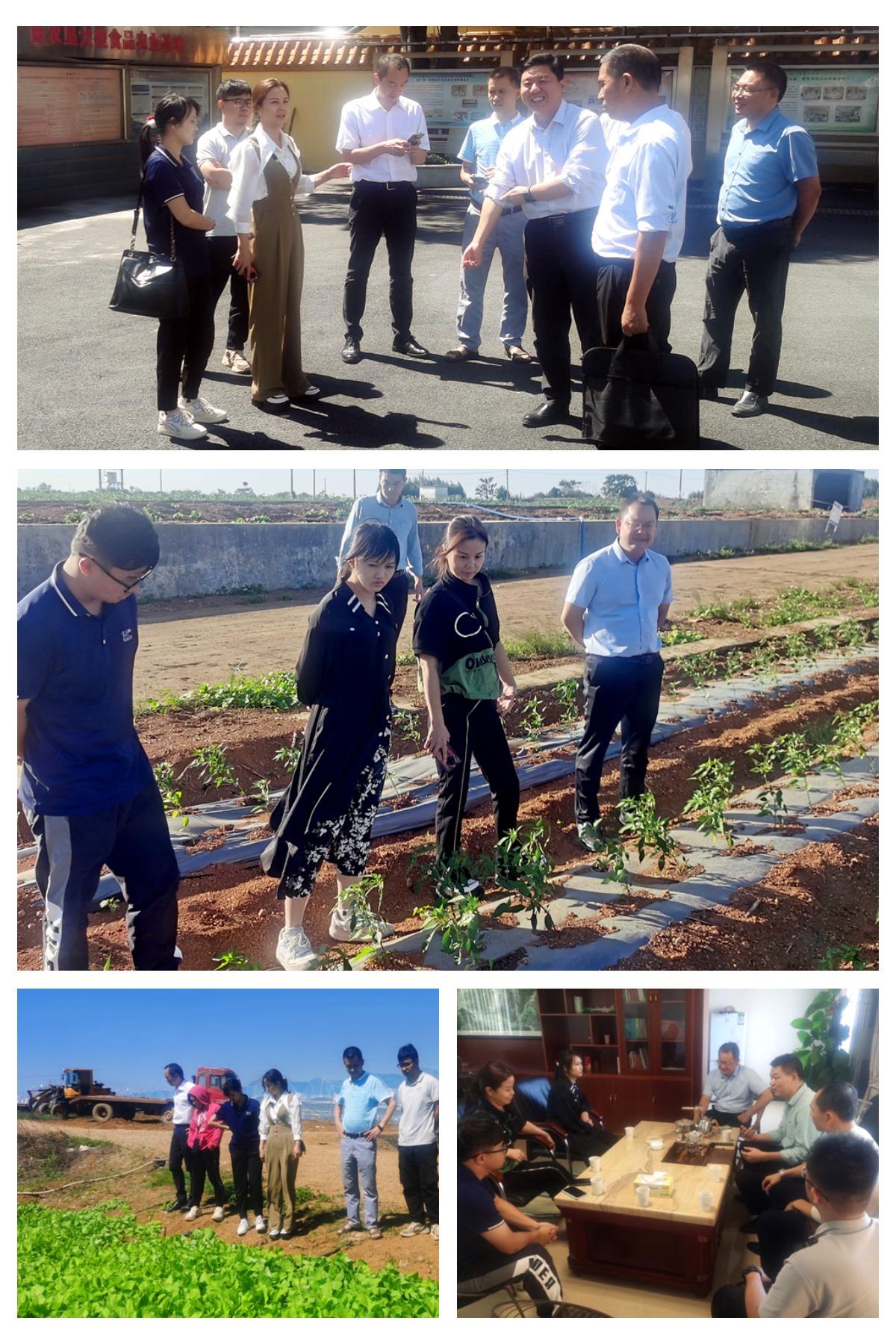 首页-PA真人集团有限公司官网