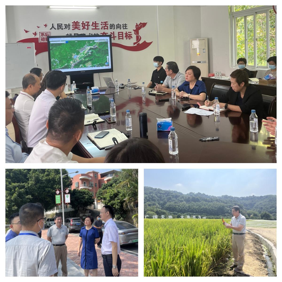 首页-PA真人集团有限公司官网