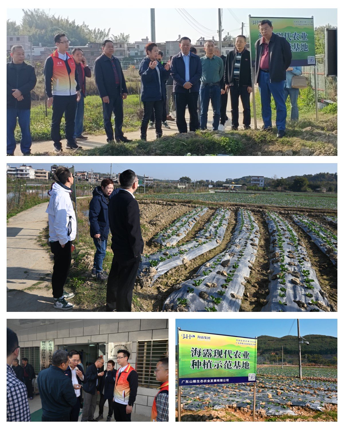 首页-PA真人集团有限公司官网