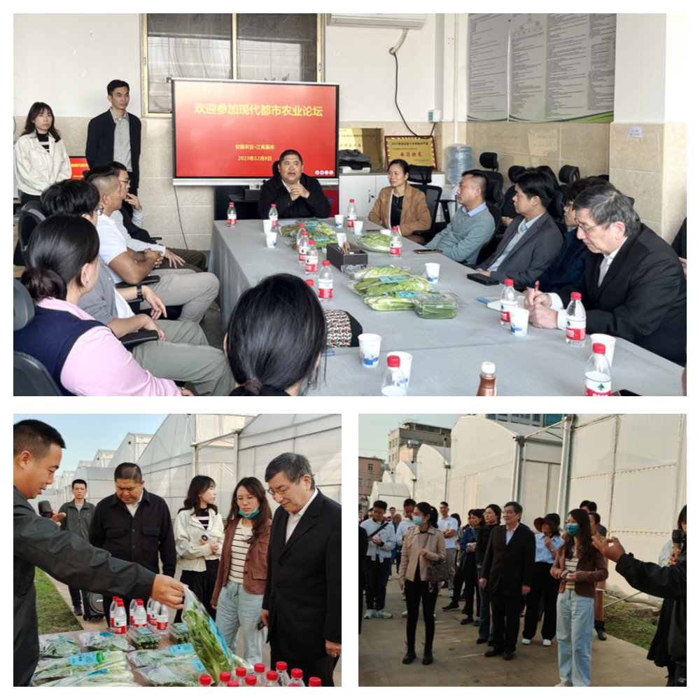 首页-PA真人集团有限公司官网